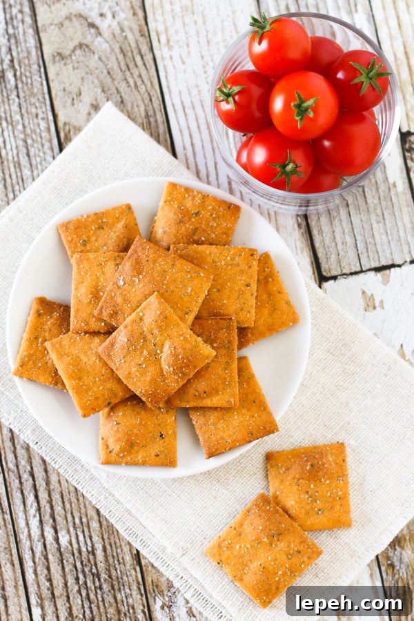 Gluten Free Vegan Pizza Crackers. A crispy, baked cracker that has all the herbs and flavors of a slice of pizza!