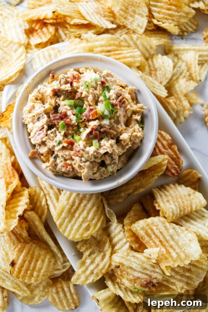 Smoked gouda dip surrounded by potato chips.