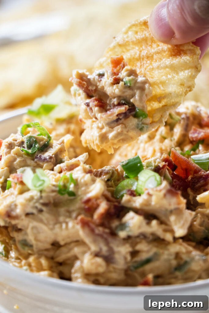 Dipping a chip into a bowl of smoked gouda dip.
