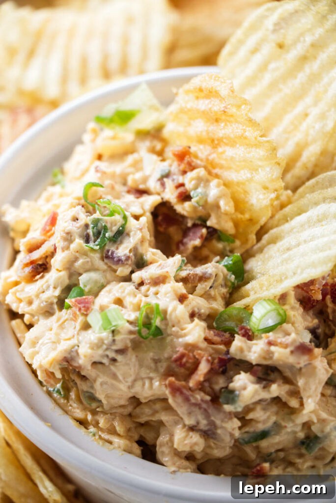 Potato chips in a bowl of smoked gouda dip.
