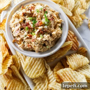 A serving dish with smoked gouda dip and potato chips.