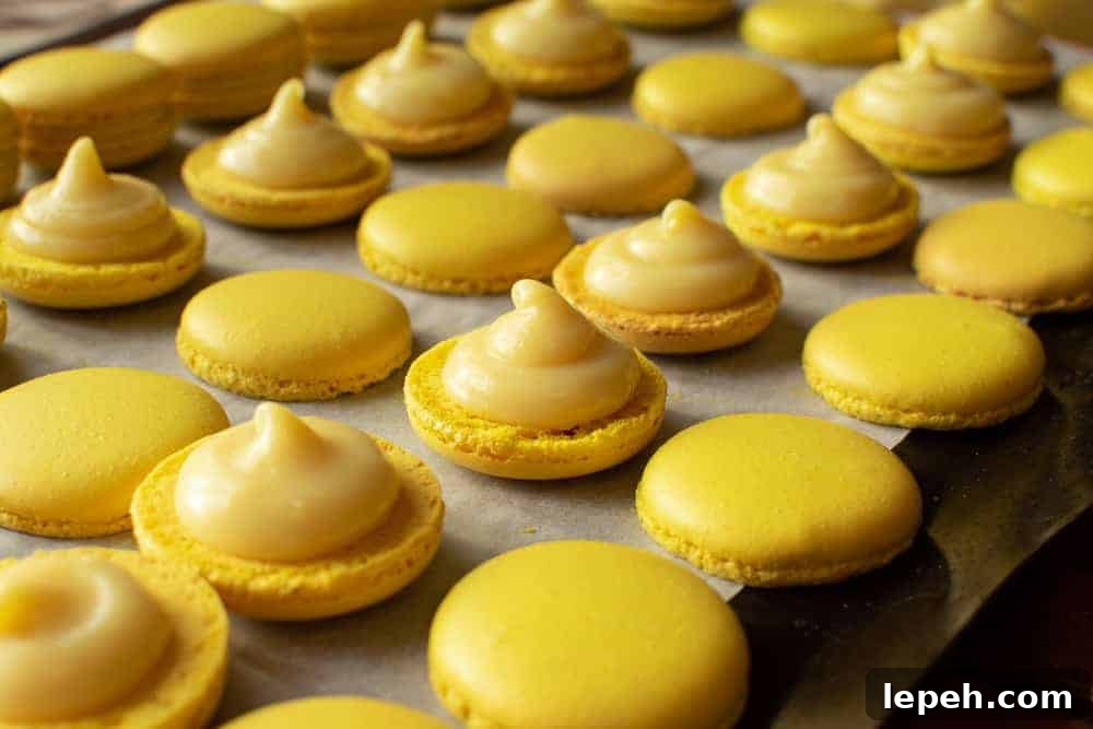 Yellow macarons halves topped with lemon filling