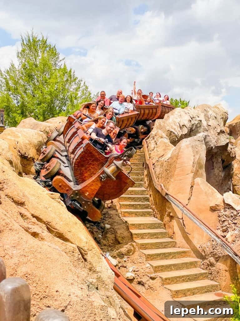 Seven Dwarfs Mine Train at Magic Kingdom.