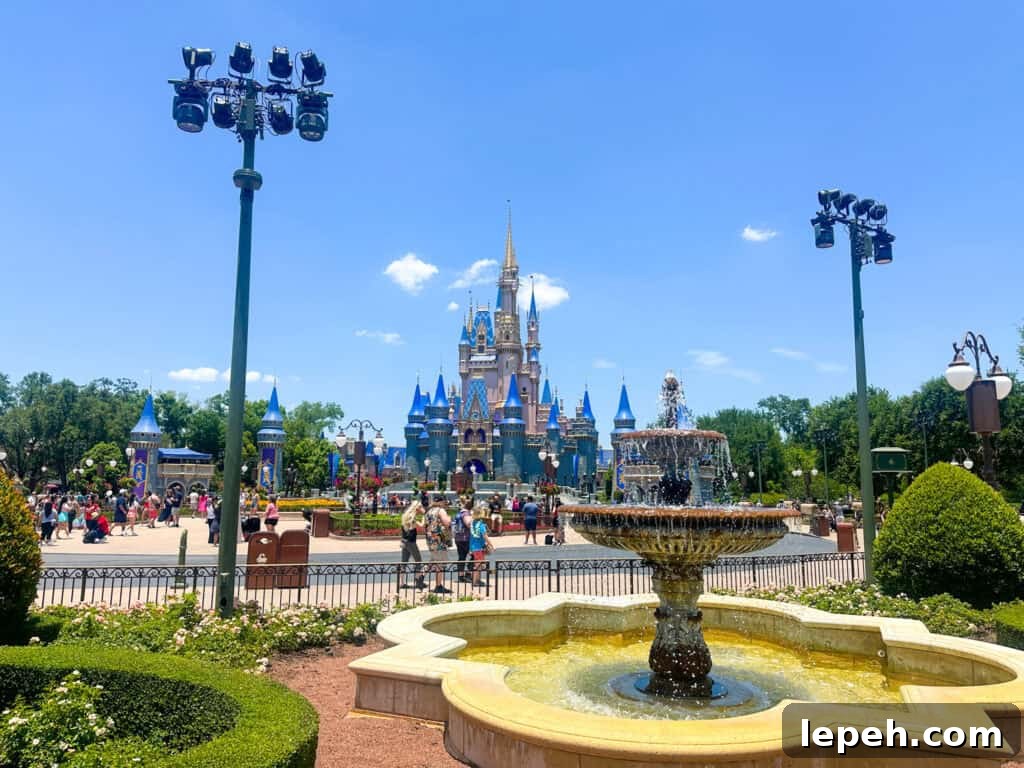 Fountain in front of Cinderella's Castle.