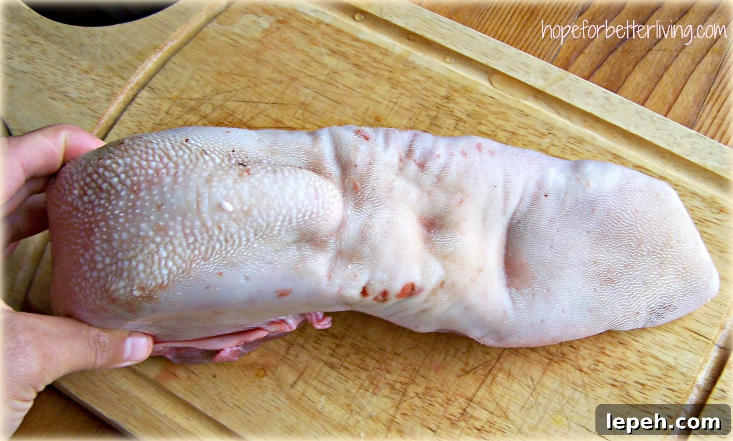 How to Cook Beef Tongue