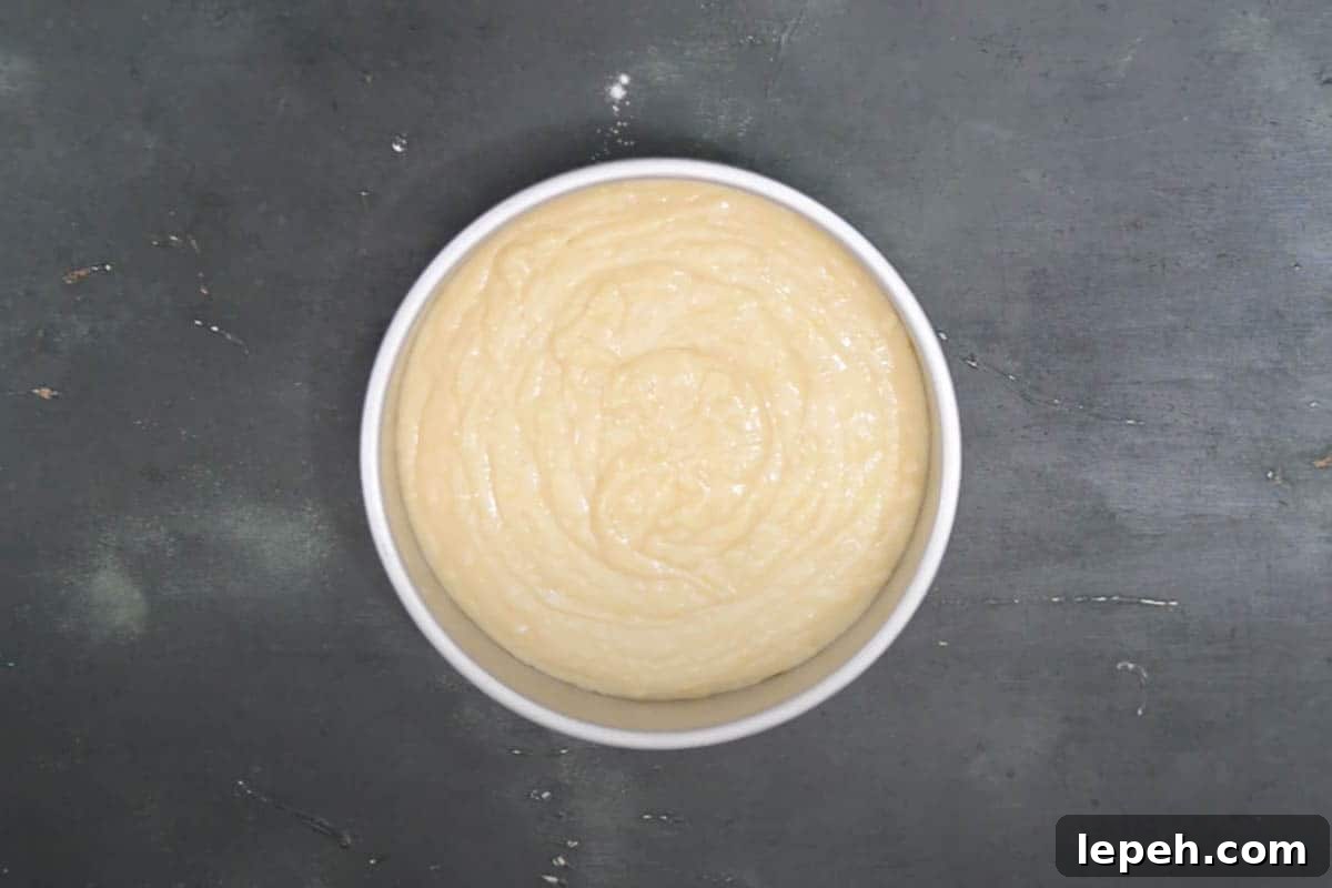 Batter poured in the prepared pan.