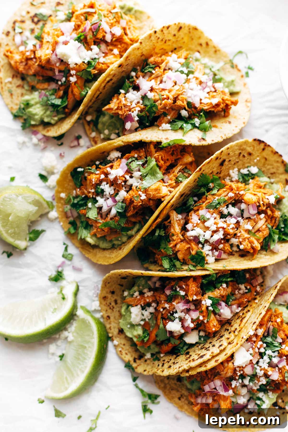 Chicken tinga tacos