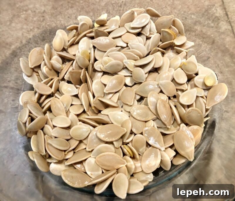 rinsed pumpkin seeds
