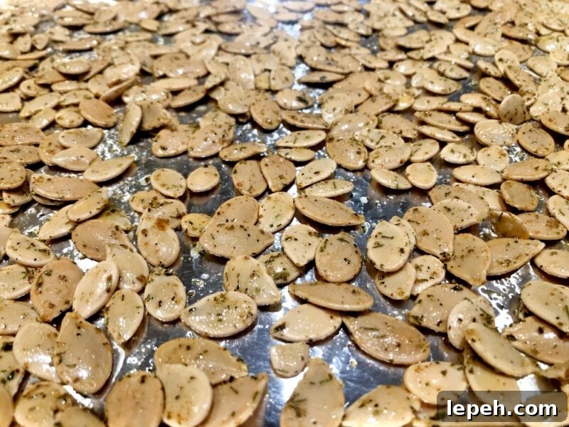 seasoned pumpkin seeds