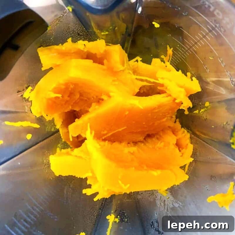 pumpkin pieces in a blender