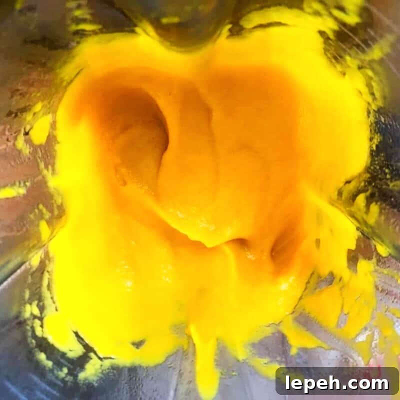 pureed pumpkin in a blender