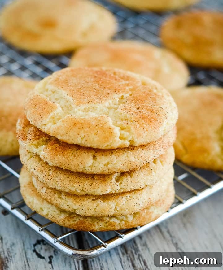 stack of snickerdoodle cookies