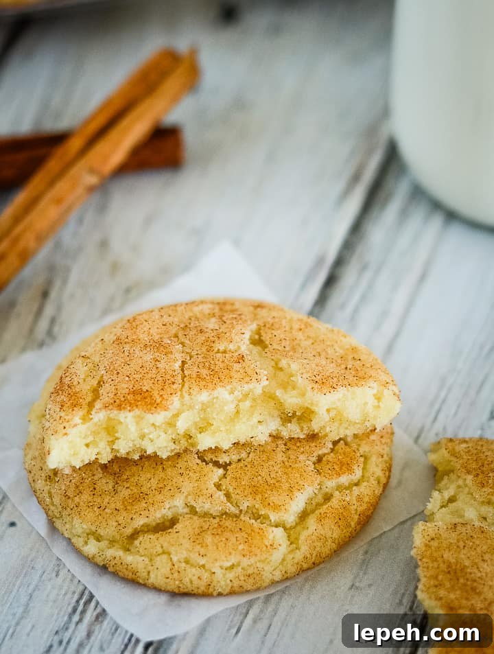 easy snickerdoodle cookies