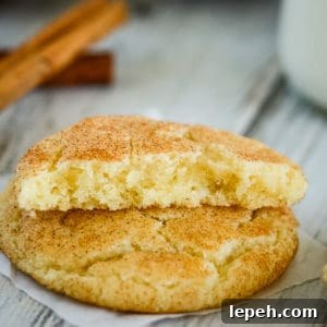 easy snickerdoodle cookies