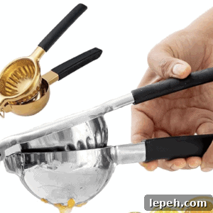 citrus juicer