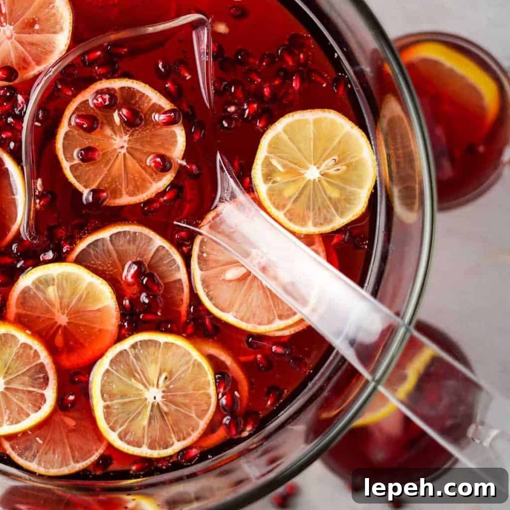 Pomegranate Cranberry Punch Close up in Bowl with ladle