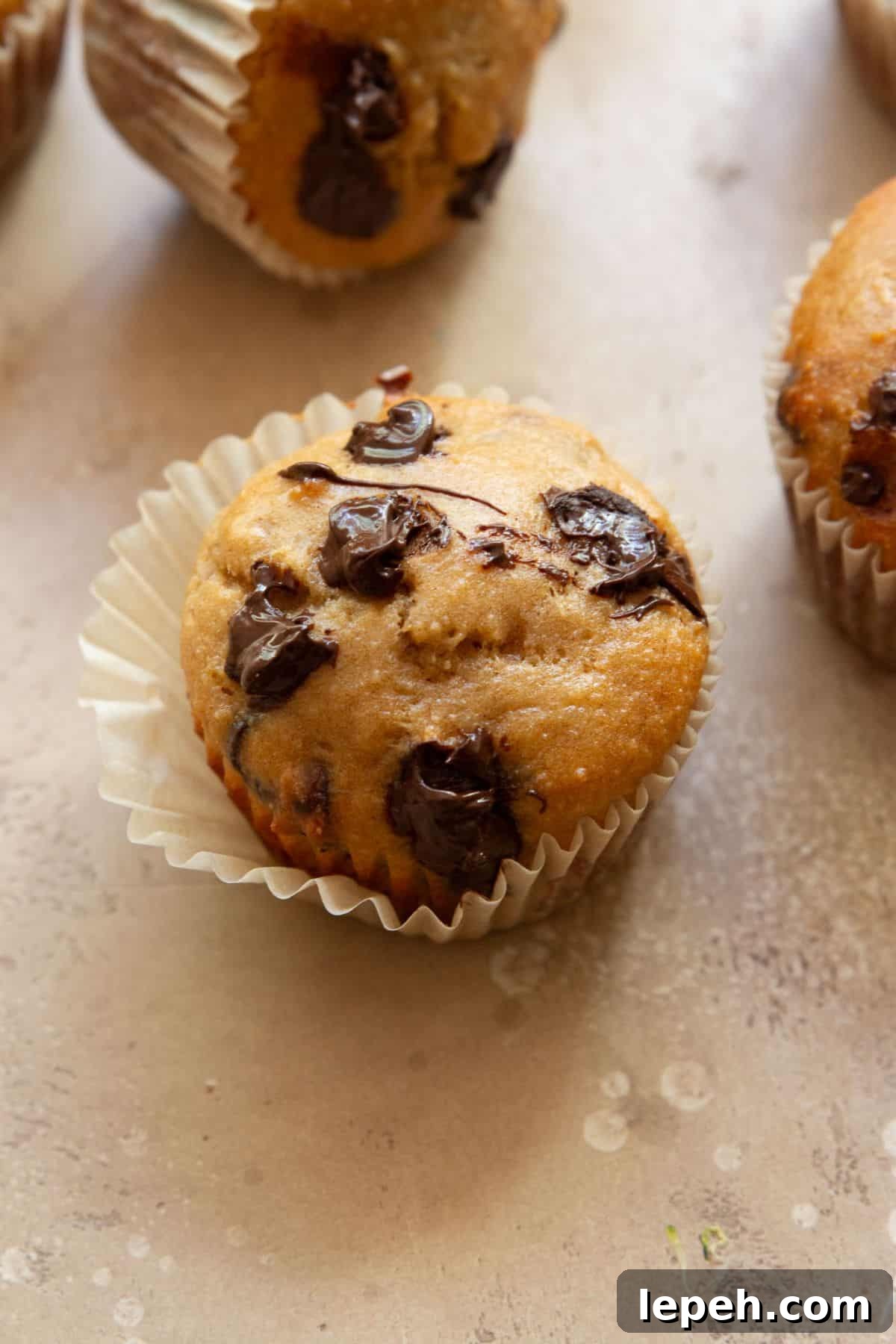 Gluten-free chocolate chip banana protein muffin made with protein powder.