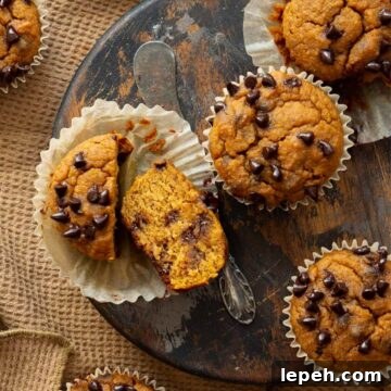 Super moist and fluffy healthy, high protein pumpkin muffins with chocolate chips.