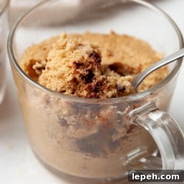 vegan and healthy microwave protein powder mug cake recipe