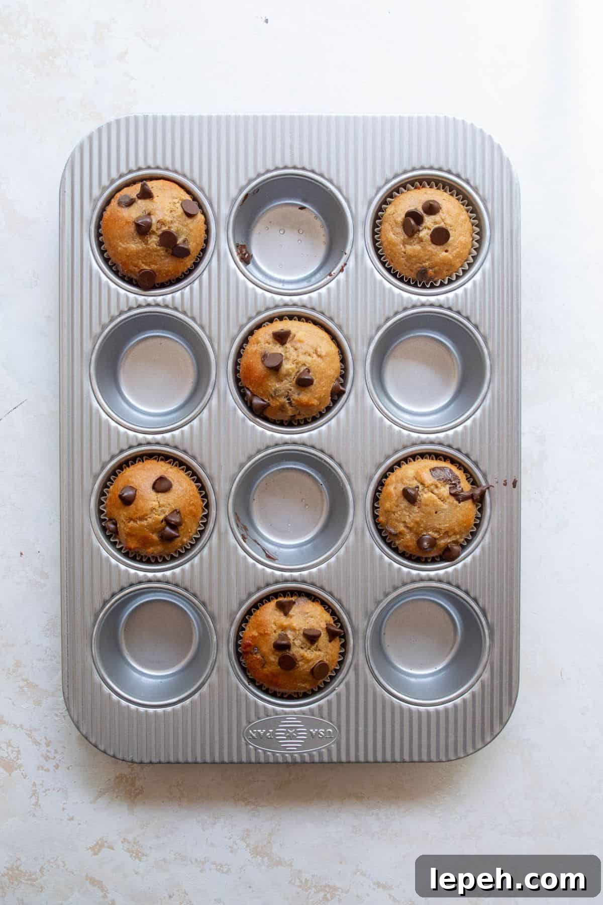Freshly baked banana protein muffins in a muffin tin with golden brown tops and melty chocolate chips.