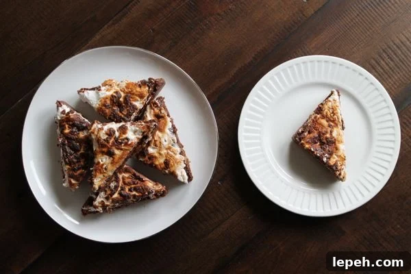 S'mores Brownies | The Kittchen
