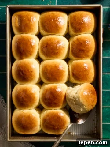 An overhead view of Sourdough Discard Hawaiian Rolls in the baking pan.