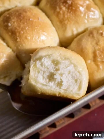 A side view of a Sourdough Discard Roll in the baking pan.