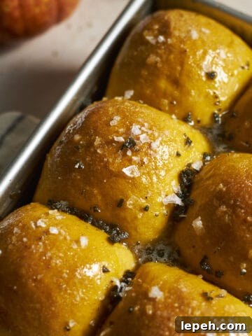 Closeup of Sourdough Discard Pumpkin Dinner Rolls in a baking pan.