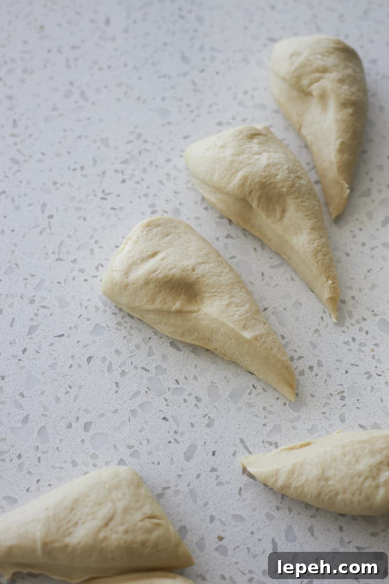 Dough divided into 8 equal-sized pieces.