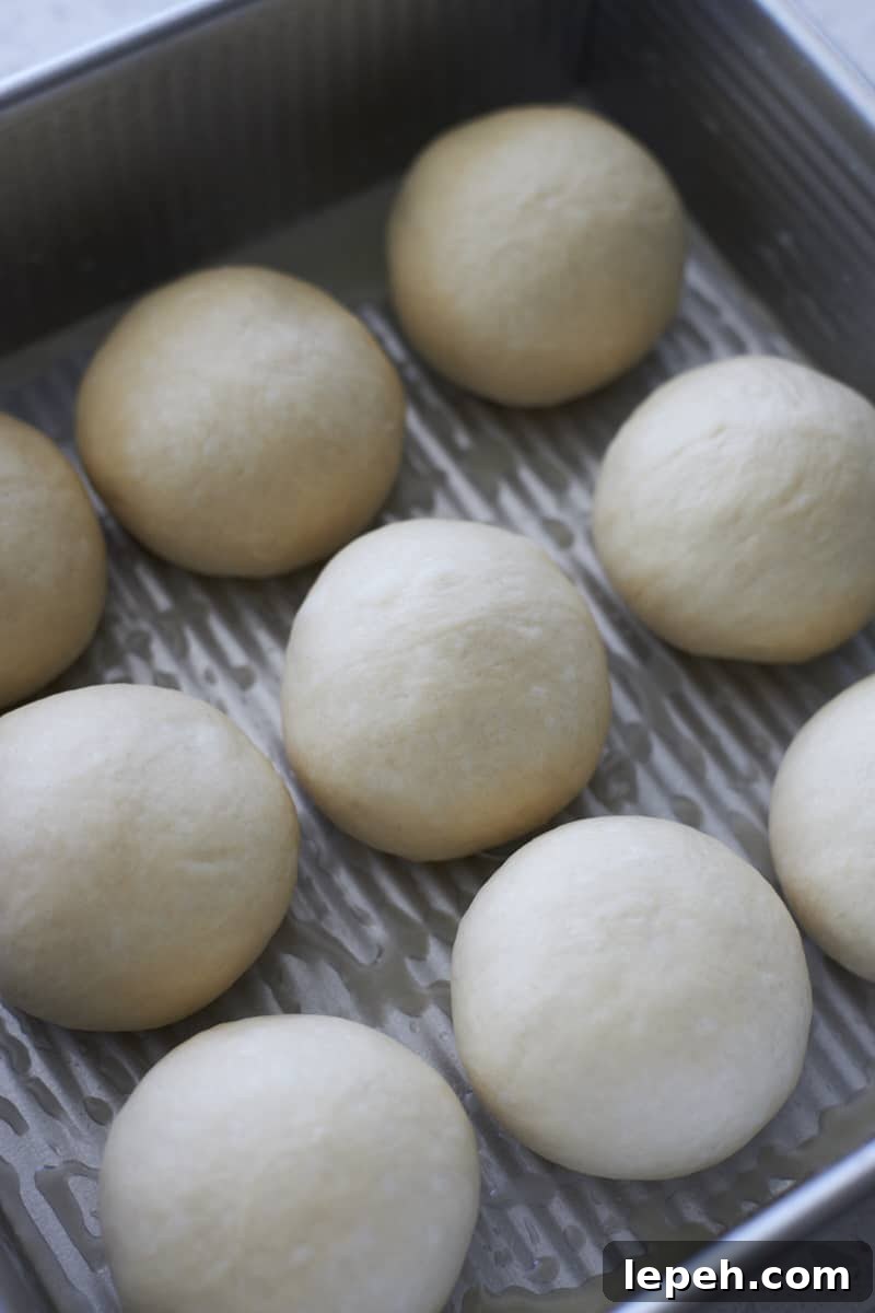 Sourdough Discard Garlic Rolls in a pan before the second rise.