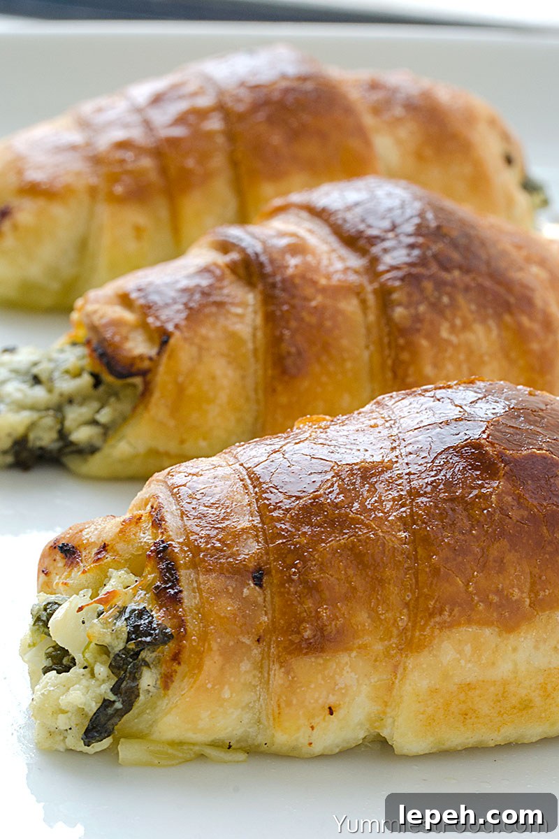 Spinach Crescents