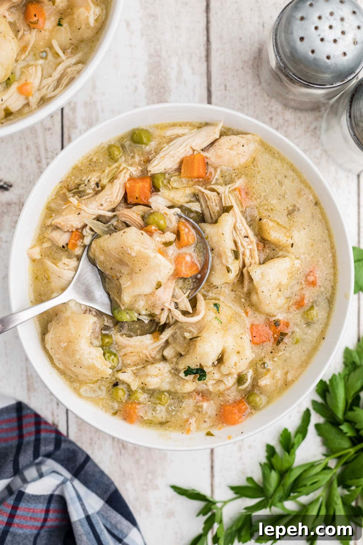 A spoonful of chicken and dumplings being lifted from a bowl.