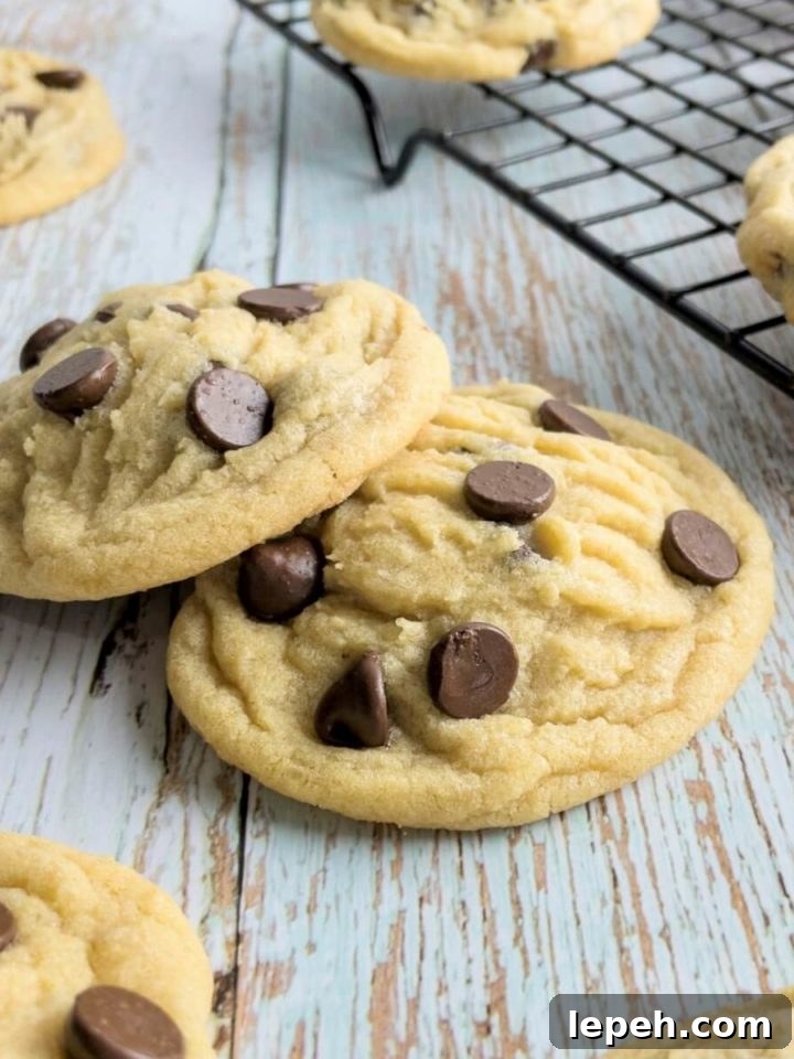 a closeup of chewy chocolate chip cookies