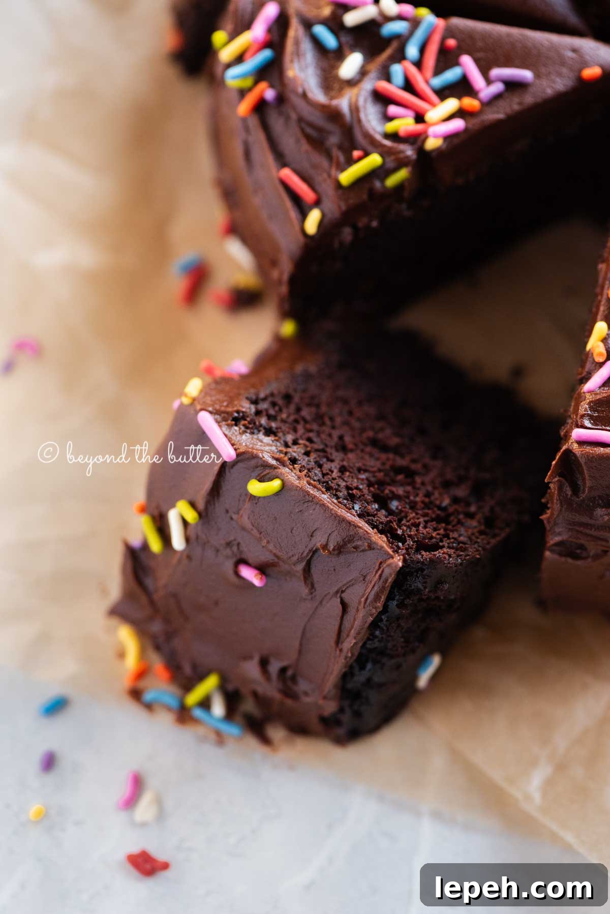 Angled closeup image of single layer chocolate cake with slices cut and randomly placed by the cake | All Images © Beyond the Butter®