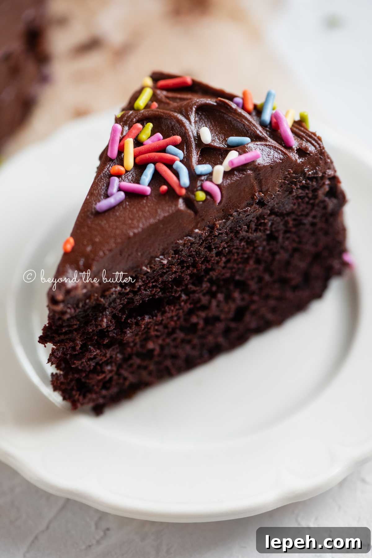 Angled closeup image of single slice of 6 inch chocolate cake on white dessert plate | All Images © Beyond the Butter®