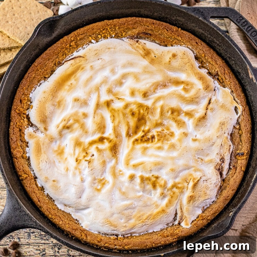 skillet cookie with a graham cracker cookie crust topped with melted chocolate and toasted marshmallow
