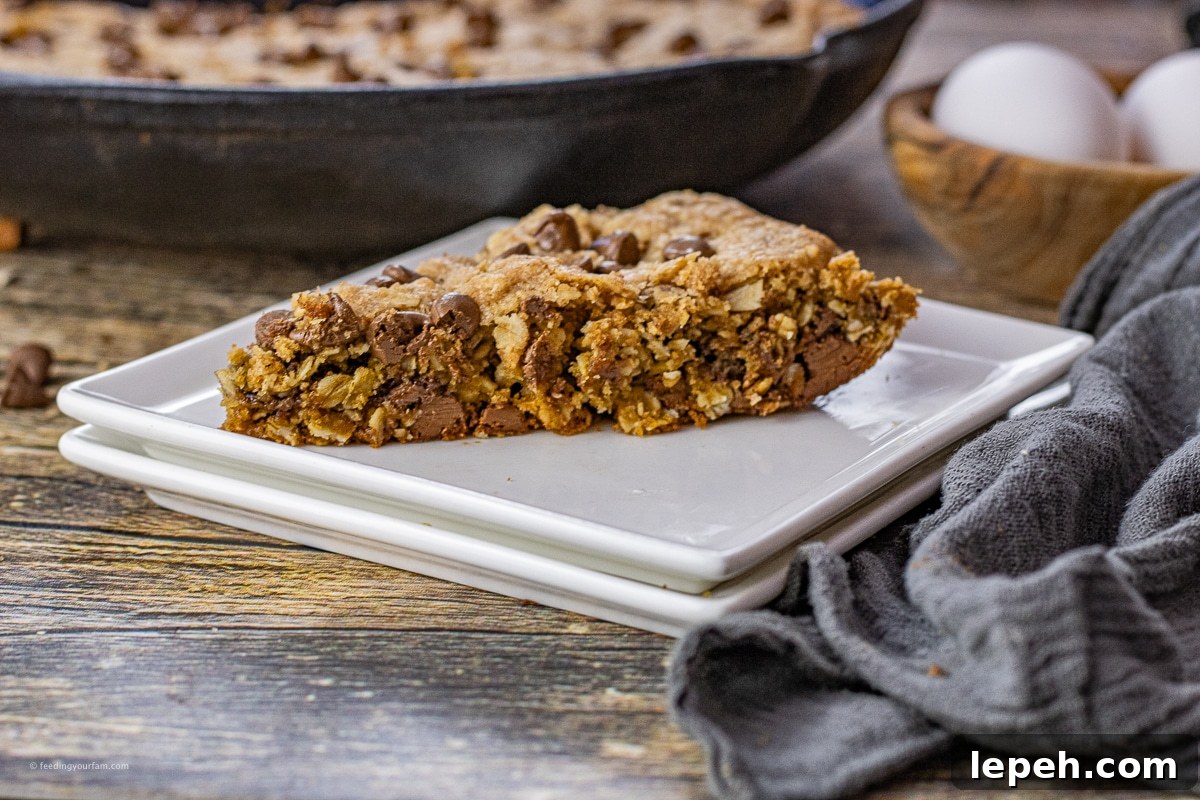 slice of oatmeal chocolate chip cookie
