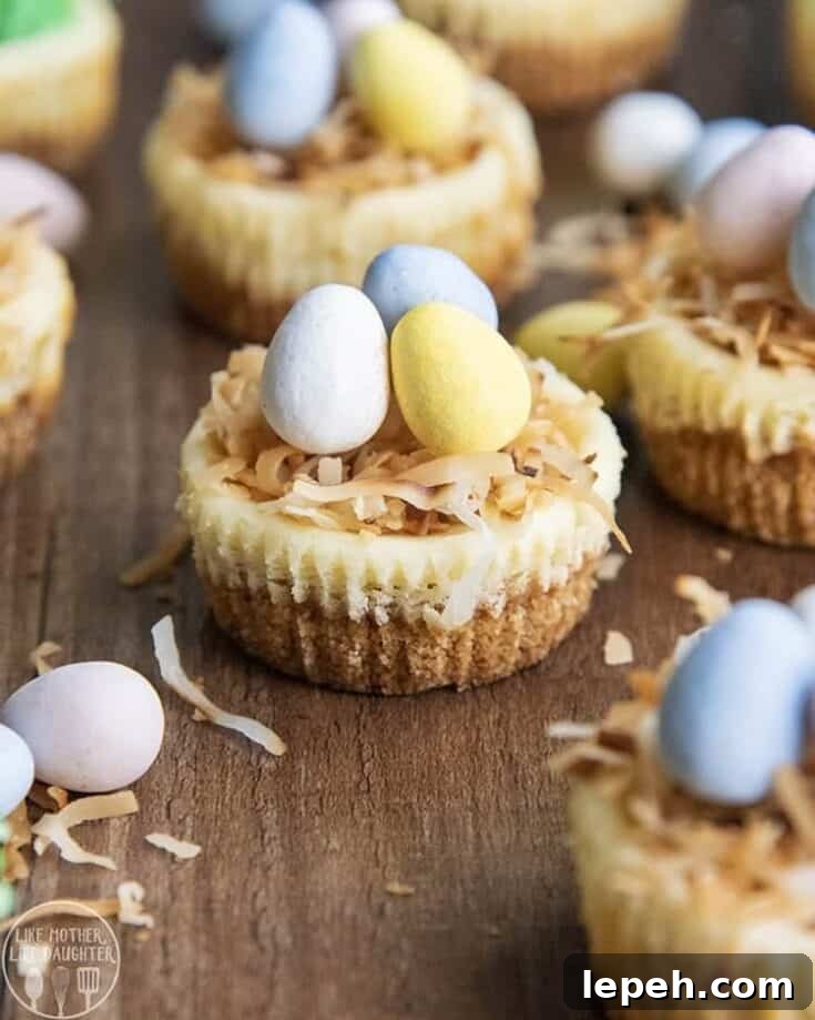 Easter Egg Mini Cheesecakes