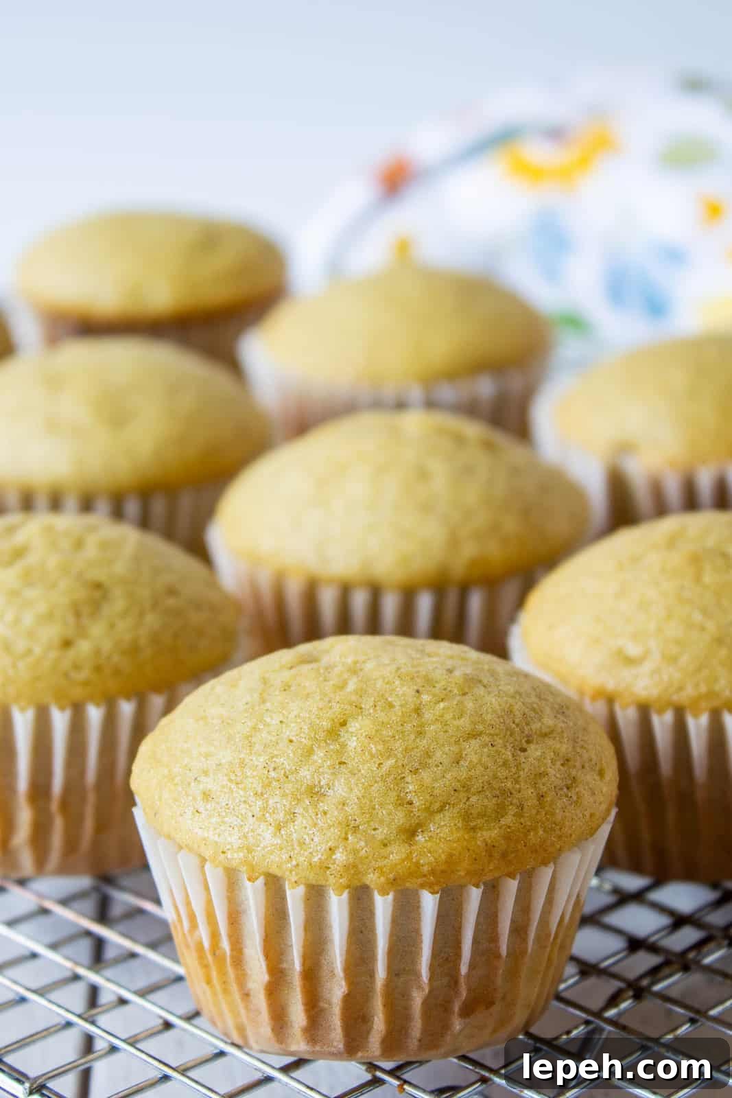 Cupcakes on a baking rack.