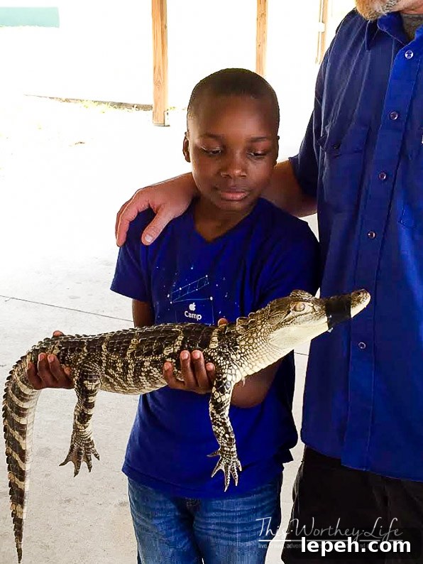 Things for families to do in the Orlando area