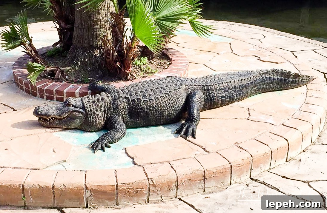 Things for families to do in the Orlando area