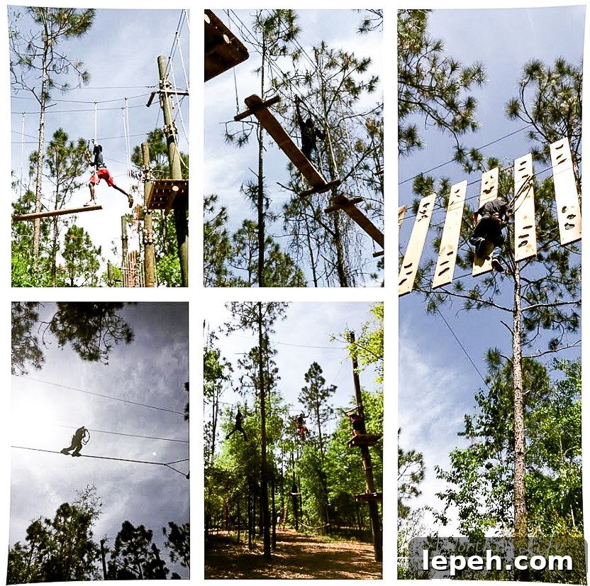 Orlando Tree Trek Adventure
