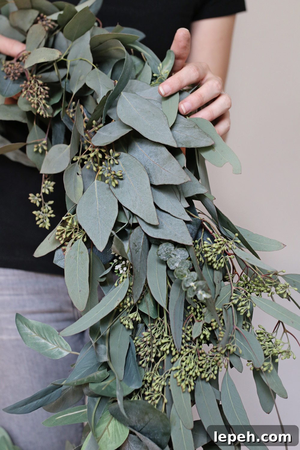 How to Make a Eucalyptus Wreath