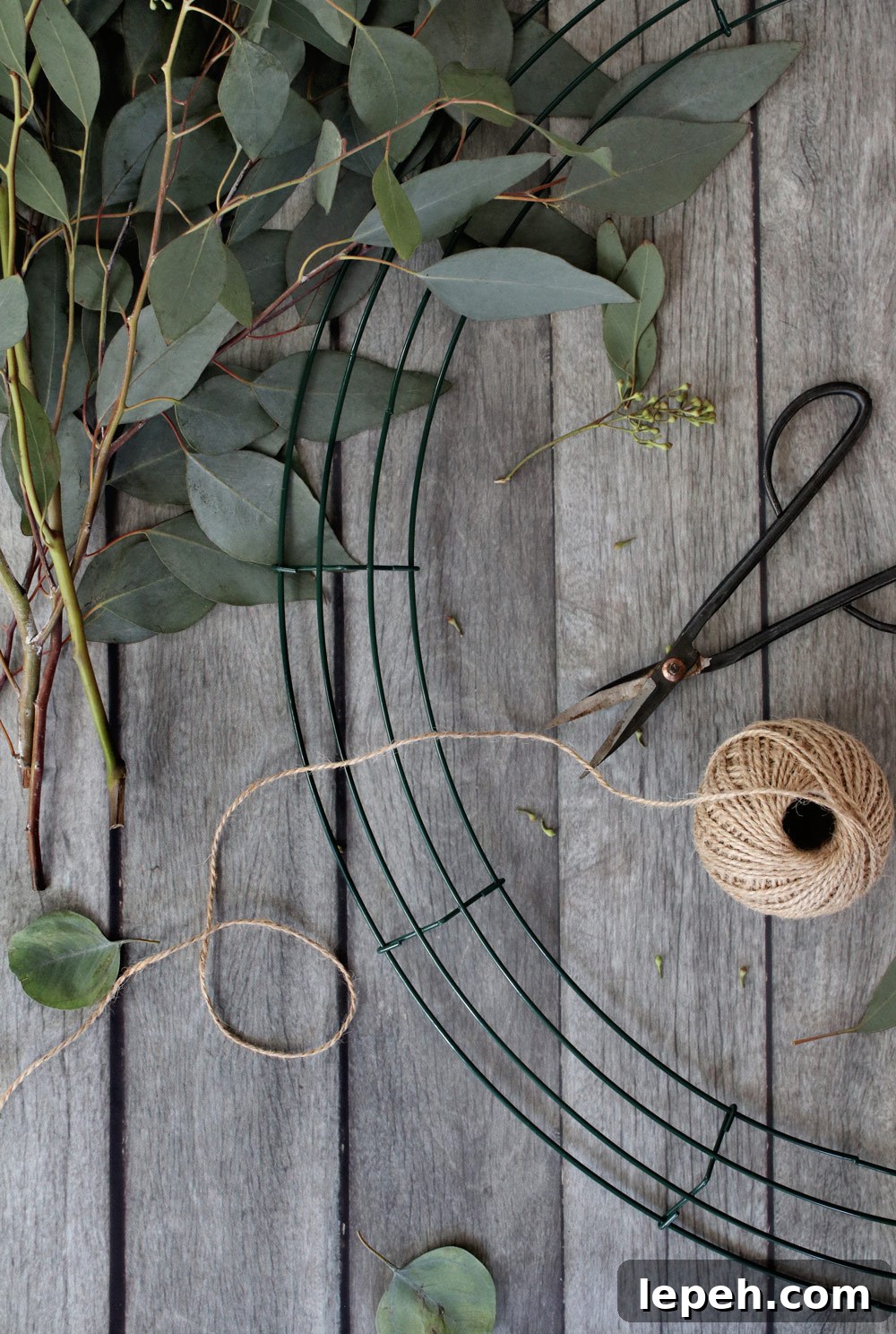 DIY Eucalyptus Wreath Tutorial