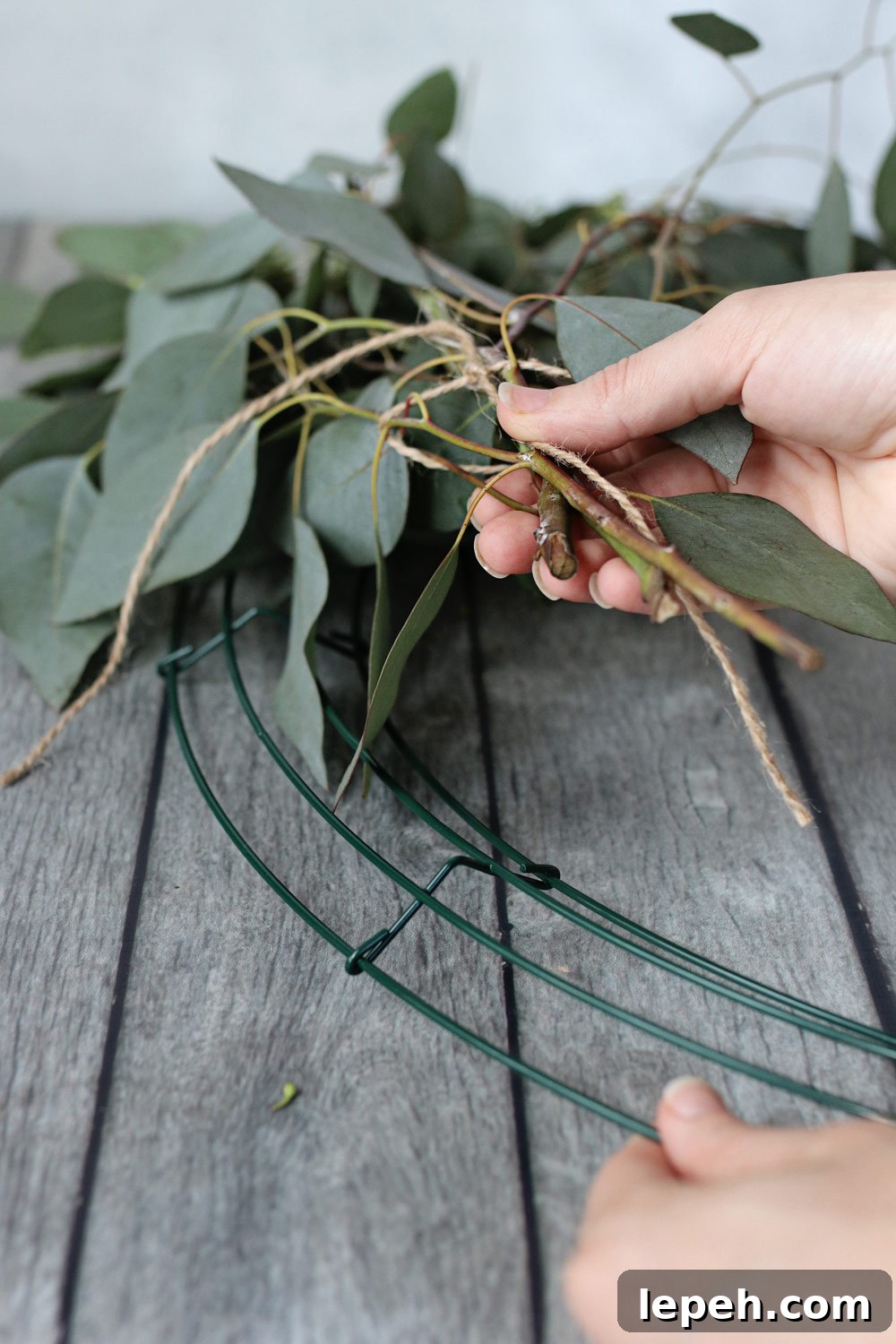 How to Make a Wreath with Fresh Eucalyptus