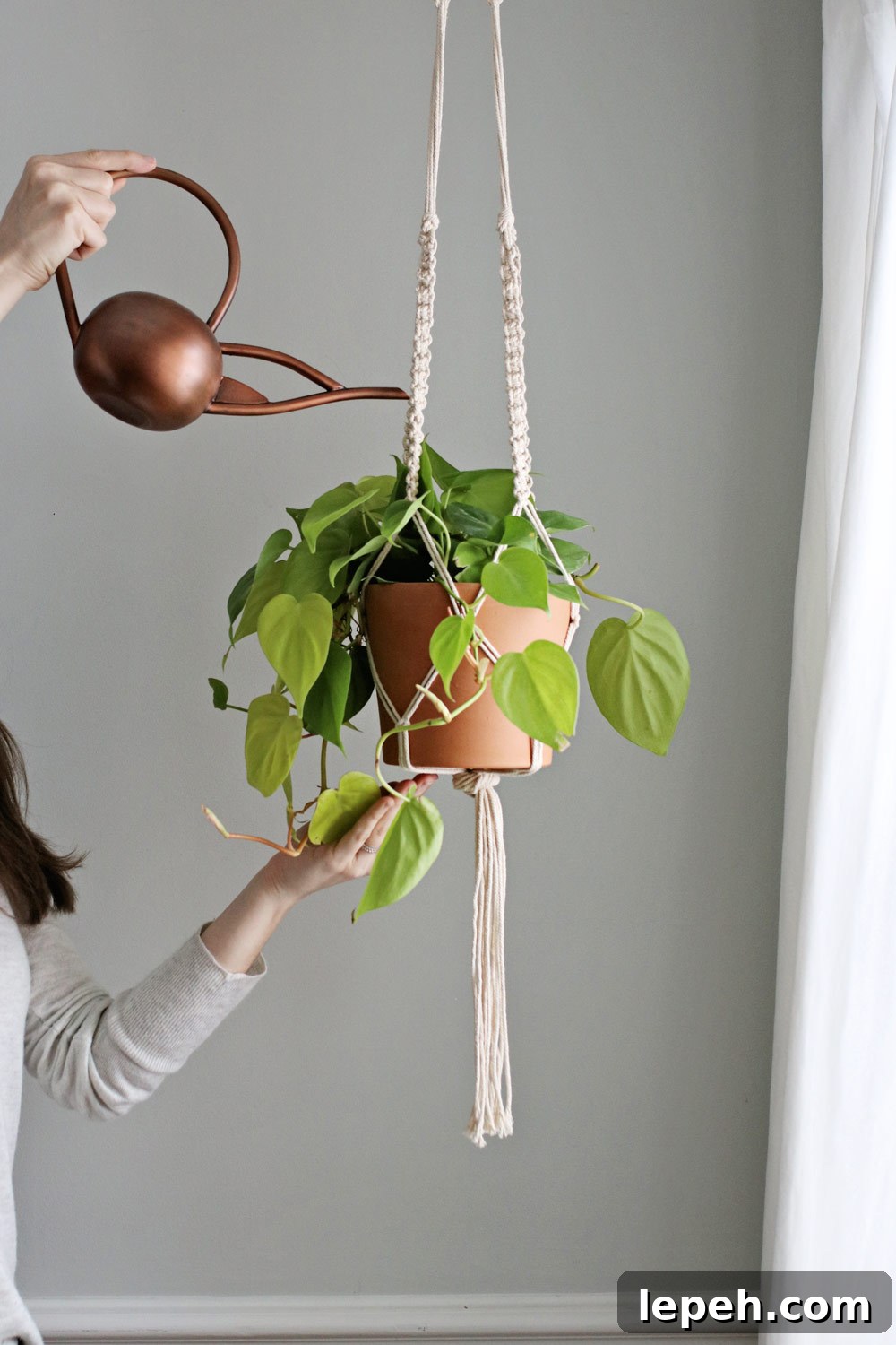 DIY Macrame Plant Hanger
