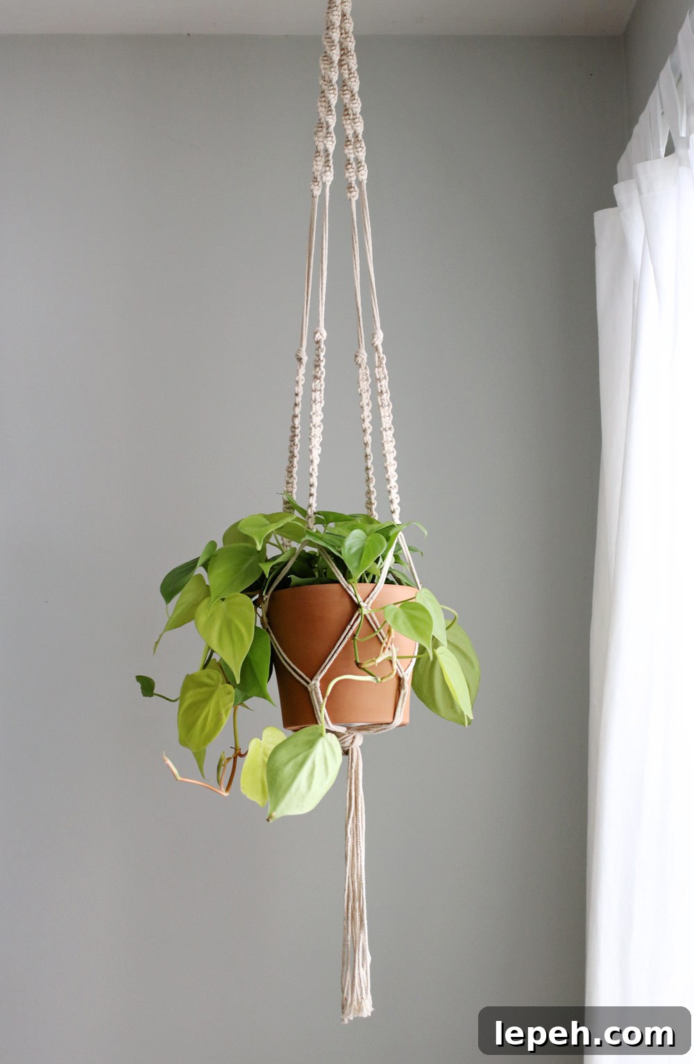 DIY Macrame Plant Hanger
