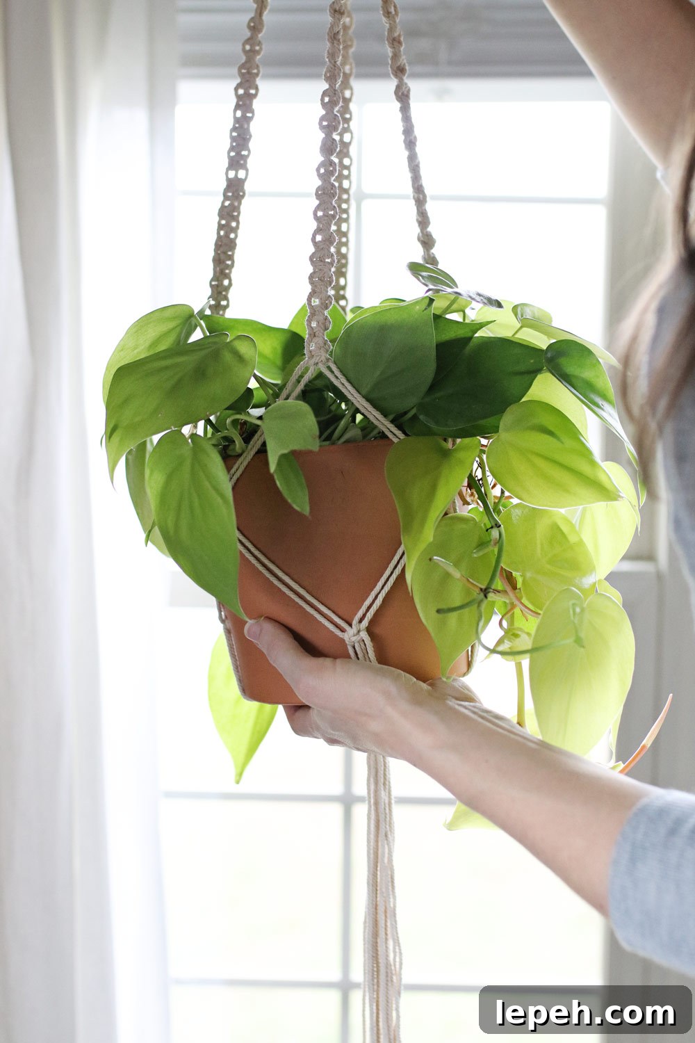 DIY Macrame Plant Hanger