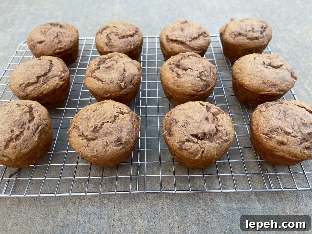 Fresh baked apple spice cake mix cupcakes on wire cooling rack.