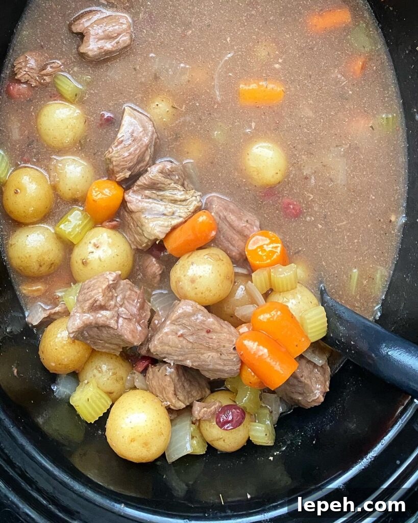 cranberry beef stew cooked